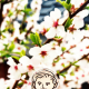 http://contents.pauline.or.kr/data/editor/2605/thumb-34ac2549240e09fc63f3202896ae1b7f_1777949179_8172_80x80.png