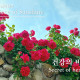 http://contents.pauline.or.kr/data/editor/2605/thumb-40738153fd86929e1cac2223b339bd59_1779955501_7329_80x80.jpg