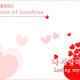 http://contents.pauline.or.kr/data/editor/2608/thumb-54c4387e439f106ee331e76ace447890_1786674492_6809_80x80.jpg