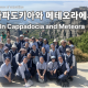 https://contents.pauline.or.kr/data/editor/2509/thumb-3b246c3326c993951d0534e56cf981e8_1759109958_0361_80x80.png