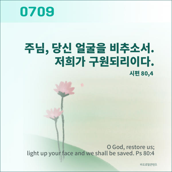 03f447405531c9a280b3cc924d616ecc_1781243276_1722.png