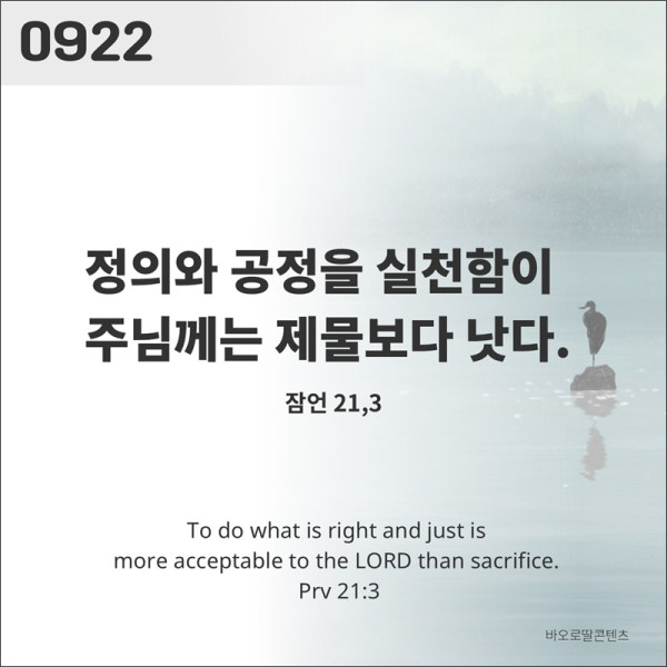 78097759fdb1f74e3c1b287e8c4dc7ef_1783666715_3581.JPG